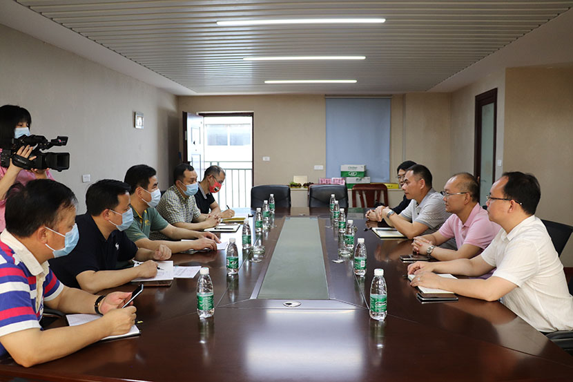臨桂區人大常委會領導蒞臨建昌公司調研指導